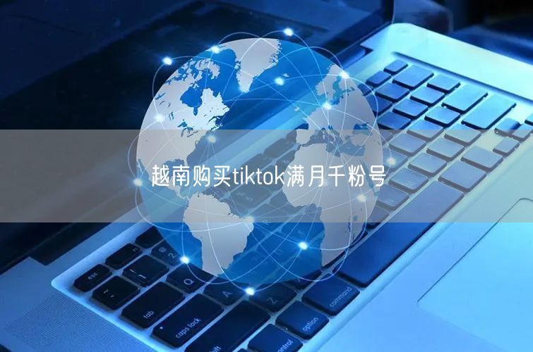 越南购买tiktok满月千粉号