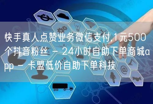 快手真人点赞业务微信支付,1元500个抖音粉丝 - 24小时自助下单商城app 